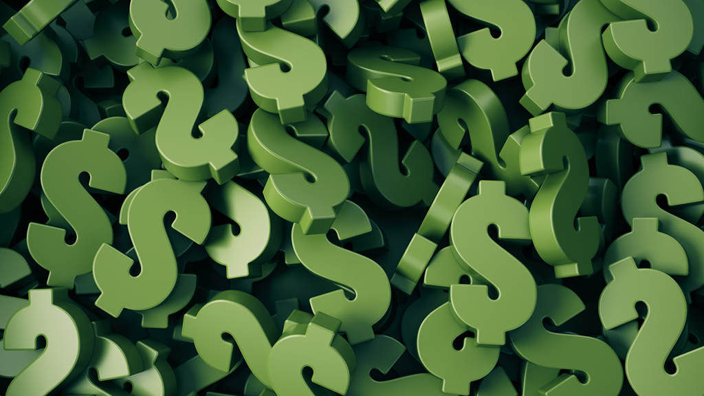 2025 Large Organization CEO Salaries