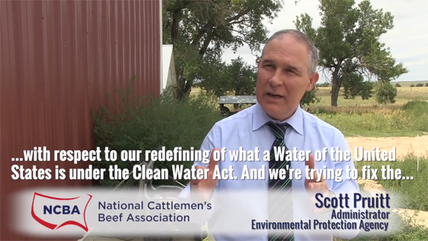 CEO DATELINE - Report: Ex-EPA chief didn't break law by appearing in association video