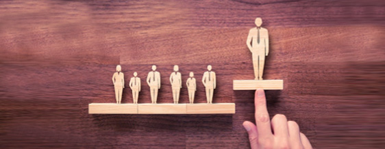 Career Planning